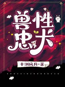 废话先生剧透
