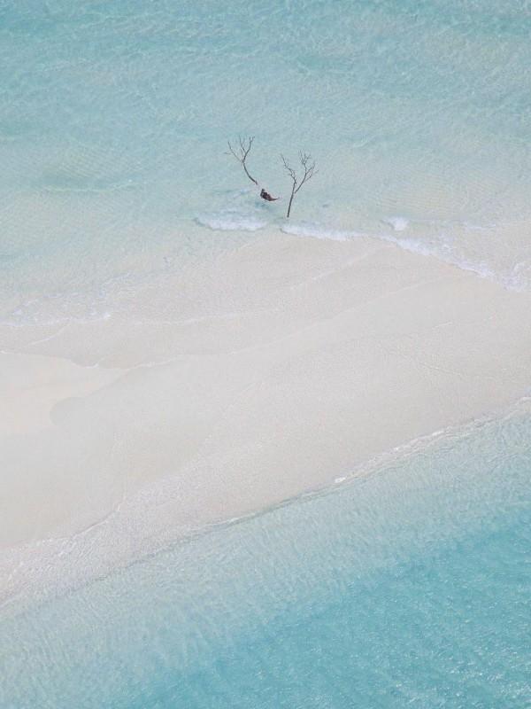 郑中基答应不爱你