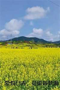 综韩剧我是九尾狐