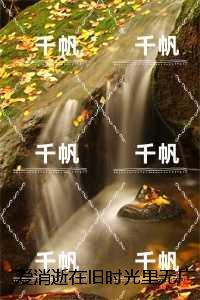 废材逆袭陆仁云青瑶最新章节更新