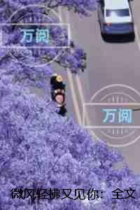 穿越射雕之东邪恋 bysnowdrop